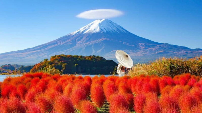 Full-Day Tour to the Picturesque Spots of Mount Fuji - Key Points