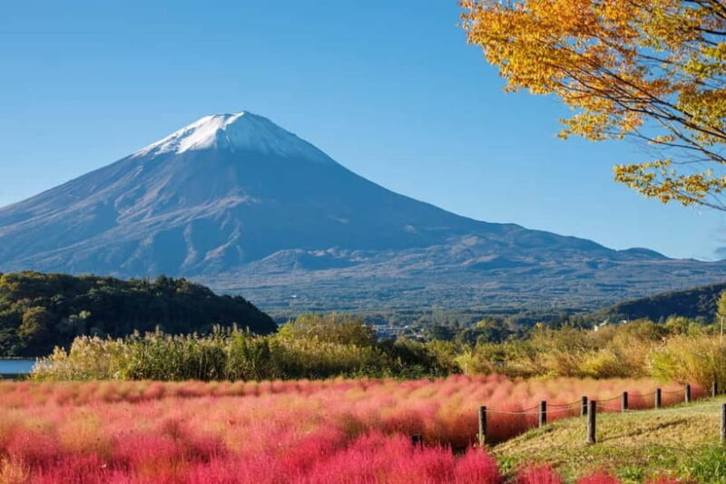 Full-Day Tour to the Picturesque Spots of Mount Fuji - Frequently Asked Questions (FAQs)
