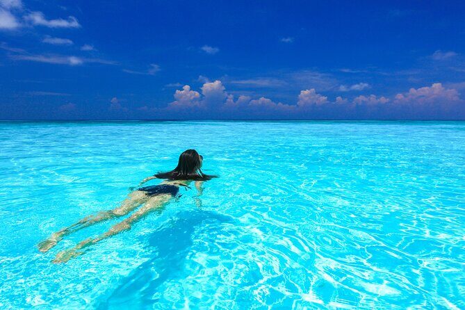 Full-day Tour to the Similan Islands by Speedboat from Khao Lak - The Itinerary in Detail