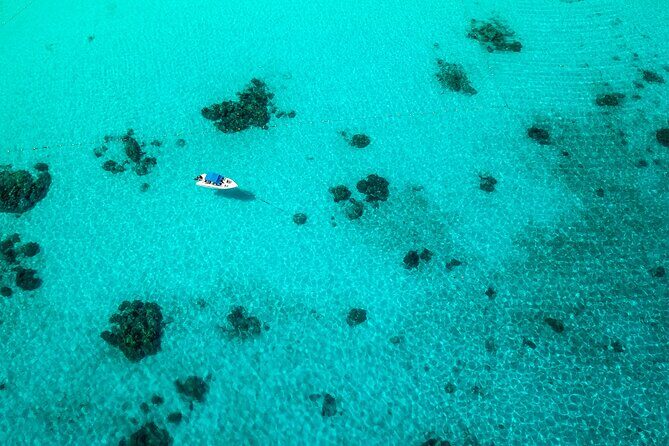 Full-day Tour to the Similan Islands by Speedboat from Khao Lak - Practical Tips for Travelers