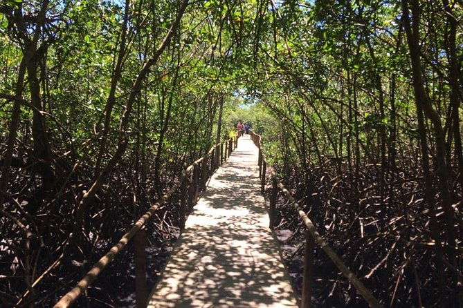 full-day-tour-to-trancoso-and-chocolate-factory-from-porto-seguro