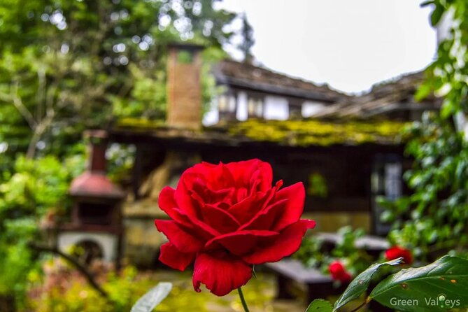 full-day-tour-to-veliko-tarnovo-reserve-of-bozhentsi-and-etar-from-sofia
