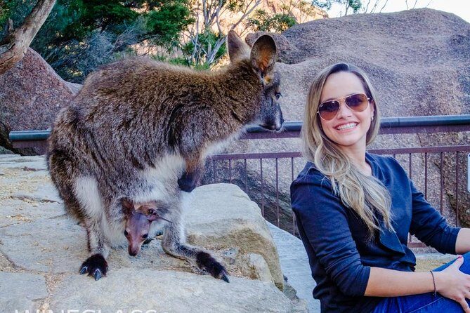 Full-Day Tour to Wineglass Bay from Hobart - First Stop: Orford Riverside Cafe & Providore