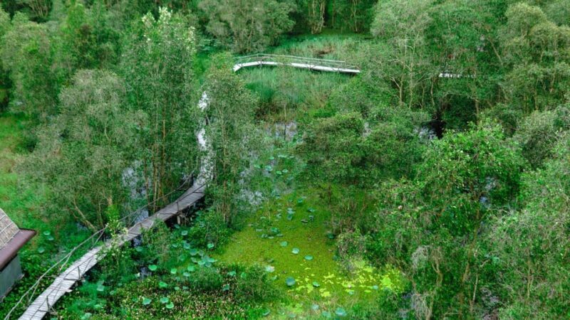 Full Day Tour Tra Su Forest From Can Tho City - Sunset at Sam Mountain