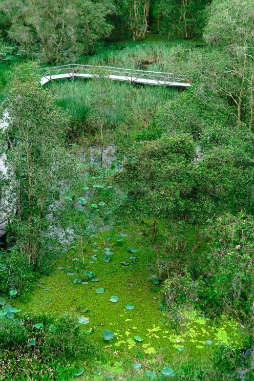full-day-tour-tra-su-forest-from-can-tho-city