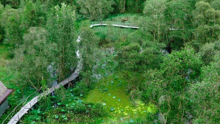 full-day-tour-tra-su-forest-from-can-tho-city