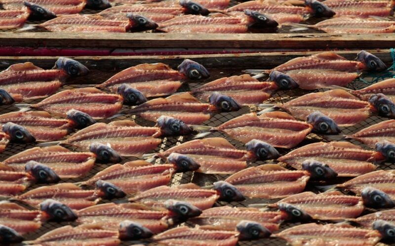 full-day-tour-transfer-to-porto-from-lisbon-with-stops