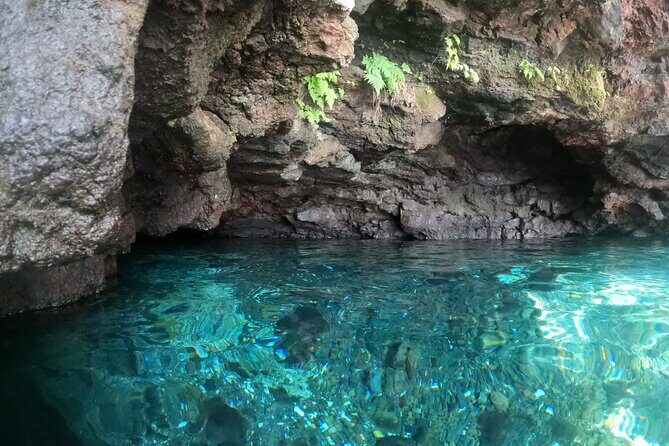 Full Day Tour Upolu Island Samoa - In The Sum Up