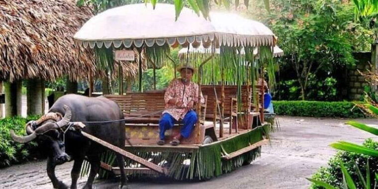 full-day-tour-villa-escudero-plantation