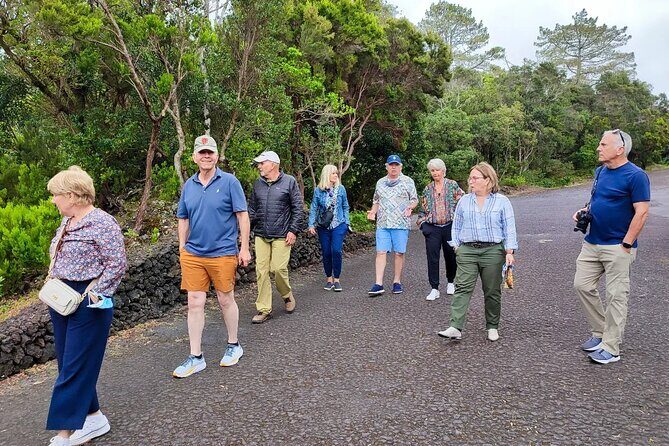 Full Day Tour with Lunch Included - Faial Island - Who Should Consider This Tour?