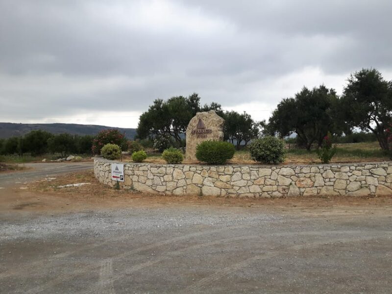 Full day tour:Knossos,Koronekes Olive mill,Lyrarakis winery - Final Thoughts