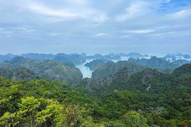 Full-Day Trekking: Explore Cat Ba National Park, Viet Hai Village - Ending the Day Back in Cat Ba