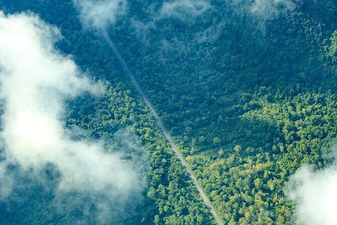 Full-Day Trekking: Explore Cat Ba National Park, Viet Hai Village - Why It’s Worth the Price