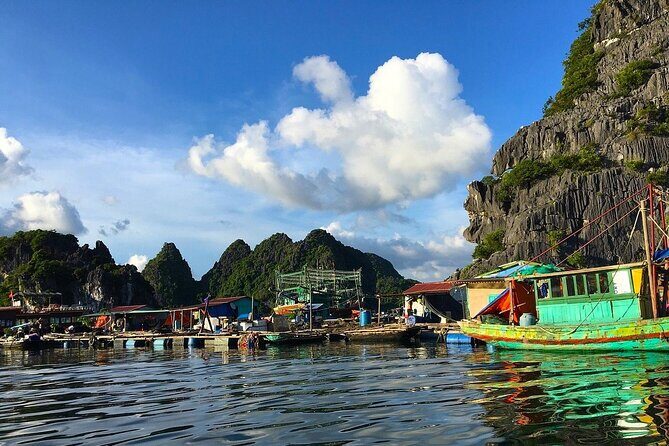 Full-Day Trekking Explore Cat Ba National Park, Viet Hai Village - Final Thoughts