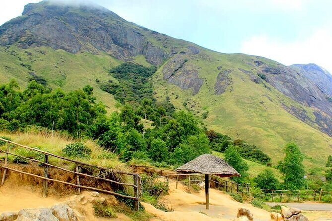 Full Day Trekking Tour In Munnar With Refreshments - Why This Tour Offers Good Value