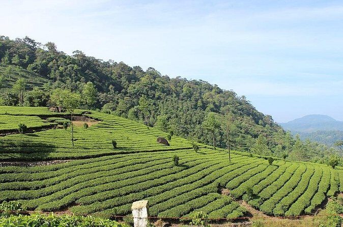 Full Day Trekking Tour In Munnar With Refreshments - FAQs About the Munnar Trekking Tour