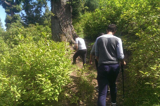 Full-day Trekking Tour to Mohanmarg Meadow - Who Is This Tour Best For?