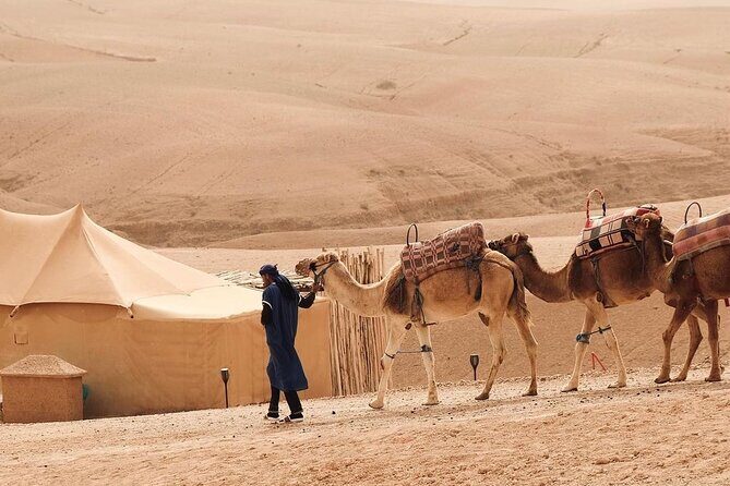 Full Day Trip Agafay Desert Atlas Mountains Camel Ride Quad Bike - Final Thoughts: Who is This Tour Best For?