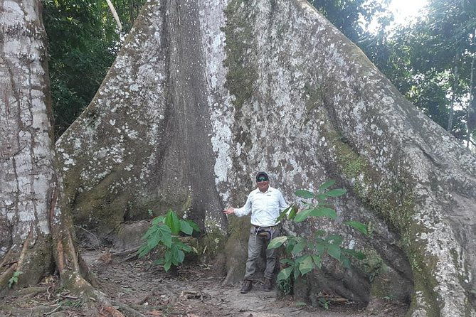 full-day-trip-amazonas