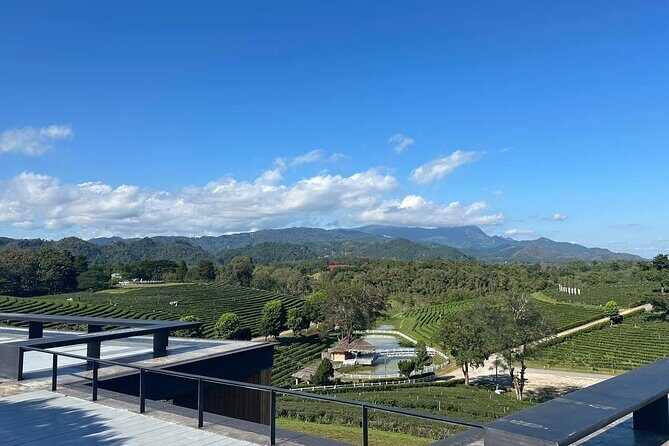 Full Day Trip Around Chiang Rai Highlights with Pick up - Final Thoughts