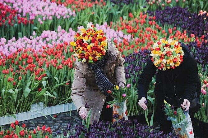 full-day-trip-from-amsterdam-to-keukenhof-zaanse-schans-cruise