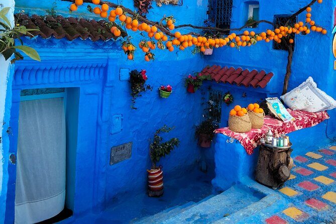 Full day trip from Fez to Chefchaouen - Transportation and Comfort
