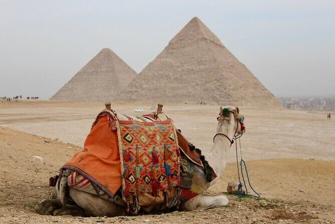Full-Day Trip from Hurghada to Cairo - Who Is This Tour Best For?