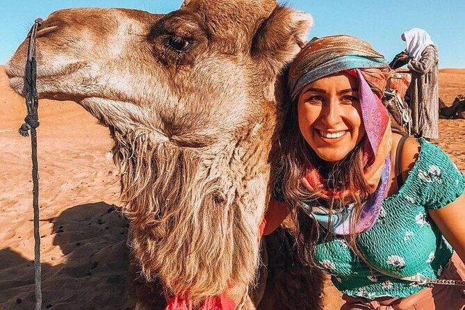 Full Day trip from Marrakech & there valleys with camel ride - Key Points: