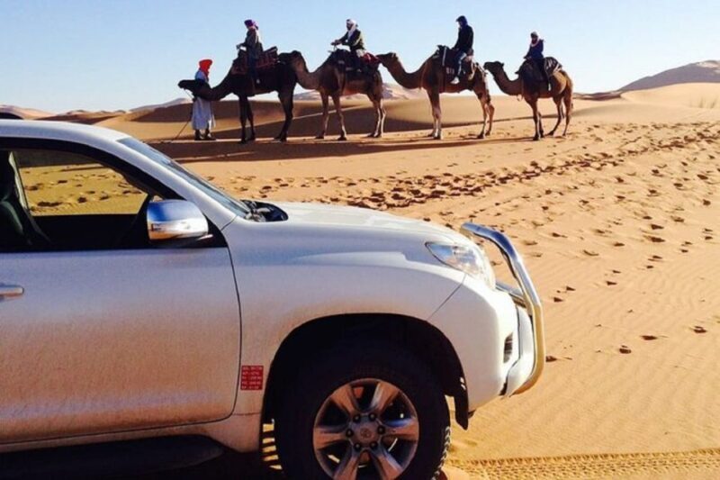 Full-Day Trip Jeep Sahara Desert with Lunch and Camel Ride - Practical Details and Value
