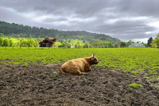 full-day-trip-loch-ness-glencoe-the-highlands-from-edinburgh