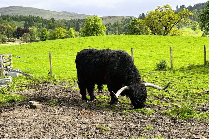 full-day-trip-loch-ness-glencoe-the-highlands-from-edinburgh