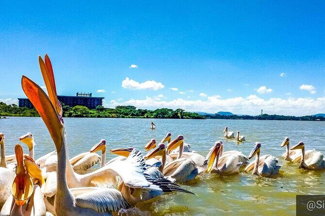 Full day Trip on Lake Tana - An Overview of what to Expect