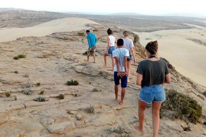 Full day Trip Paradise Valley and sand dunes with lunch - Pricing and Value