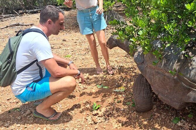 Full Day Trip Prison Island and Nakupenda Sandbank - Frequently Asked Questions (FAQs)