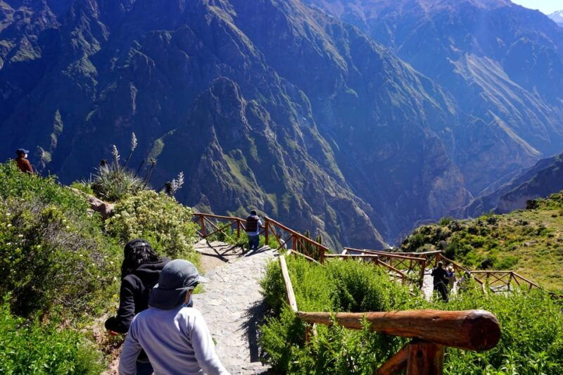 full-day-trip-to-colca-canyon-from-arequipa-ending-in-puno