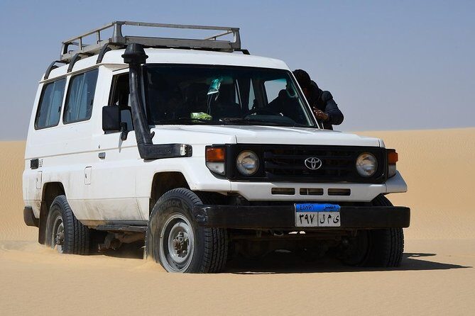 Full Day Trip to El-Fayoum Oasis & Wadi El-Hitan from Cairo - Key Points