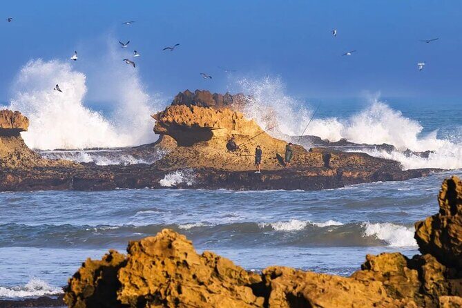 Full Day Trip To Essaouira - Insights From Real Travelers