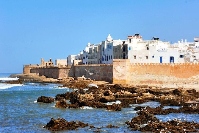 Full Day Trip To Essaouira city - Departure From Marrakech - A Complete Look at the Tour Experience