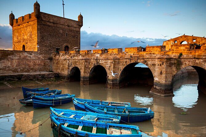 Full day trip to Essaouira from Agadir - Final Thoughts