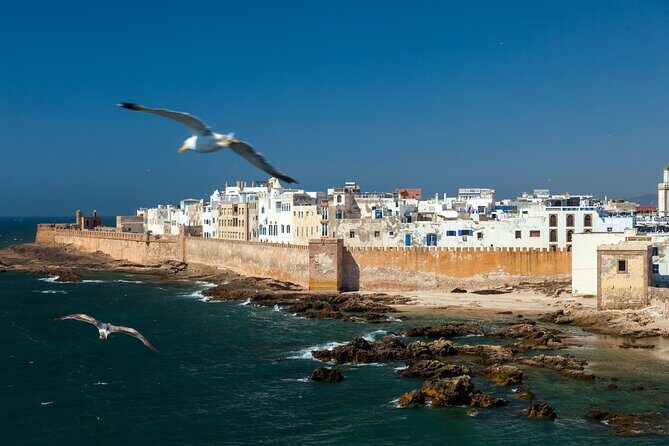 Full Day Trip to Essaouira from Marrakech - The Sum Up