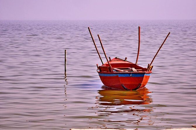 Full Day Trip to Fayoum Oasis from Cairo - An In-Depth Look at the Fayoum Oasis Tour