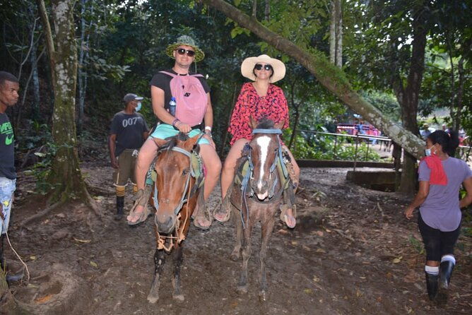 full-day-trip-to-limon-waterfall-and-bacardi-island