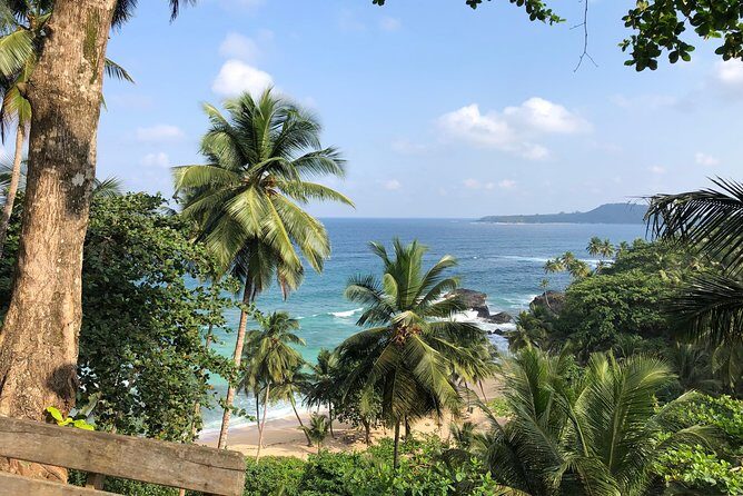 Full day trip to: North, Center, South and Equator, - What to Expect from the Full-Day Private Tour in São Tomé