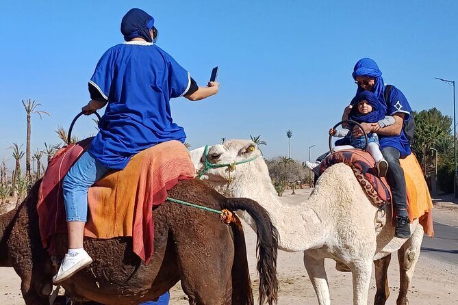 Full day trip to Ourika vally - Transportation and Group Size: Why It Matters