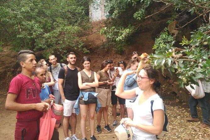 Full Day Trip To Ouzoud Waterfalls From Marrakech & boat ride - Who Will Love This Tour?