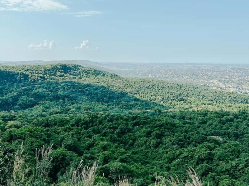 Full Day Trip to Pugu Forest from Dar es Salaam - Key Points
