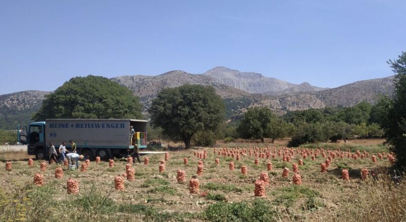 Full Day trip to Spinalonga and Lasithi Plateau Land of Zeus - The Sum Up: Who Will Love This Tour?
