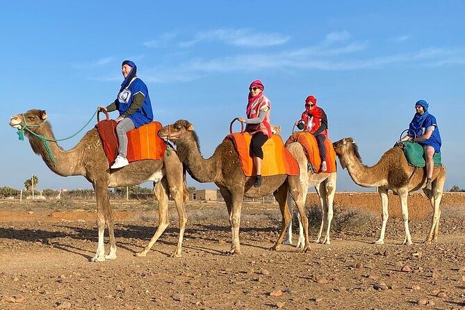 Full-day trip to the Atlas Mountains of Morocco and Camel ride - The Itinerary in Detail
