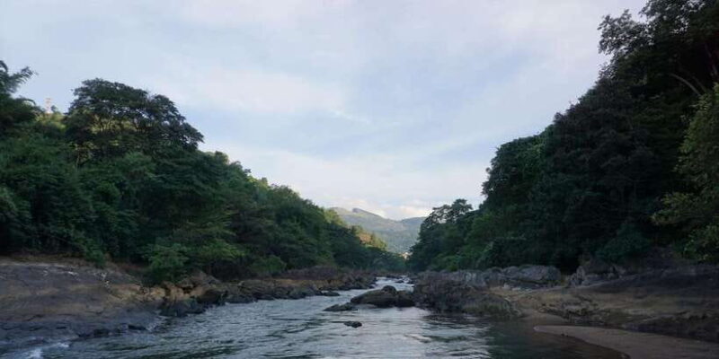 Full Day Tuk Tuk Tour  Explore Kandy with Local Expert - Who Will Love This Tour?