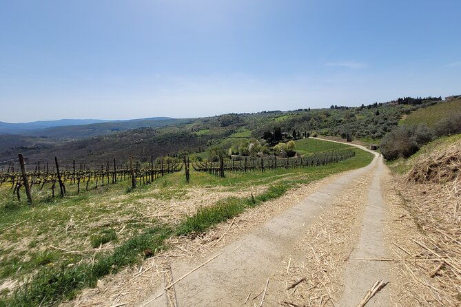 full-day-tuscan-hills-bike-tour-with-lunch-at-farm